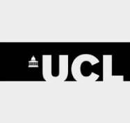 University College London university logo - UK academic writing service trusted by University College London students